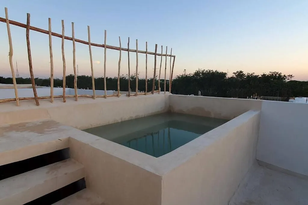 Private Roof Top Pool. Great House For Families. Playa del Carmen Meksika
